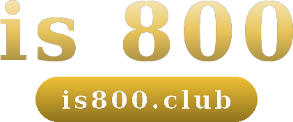 is 800 logo